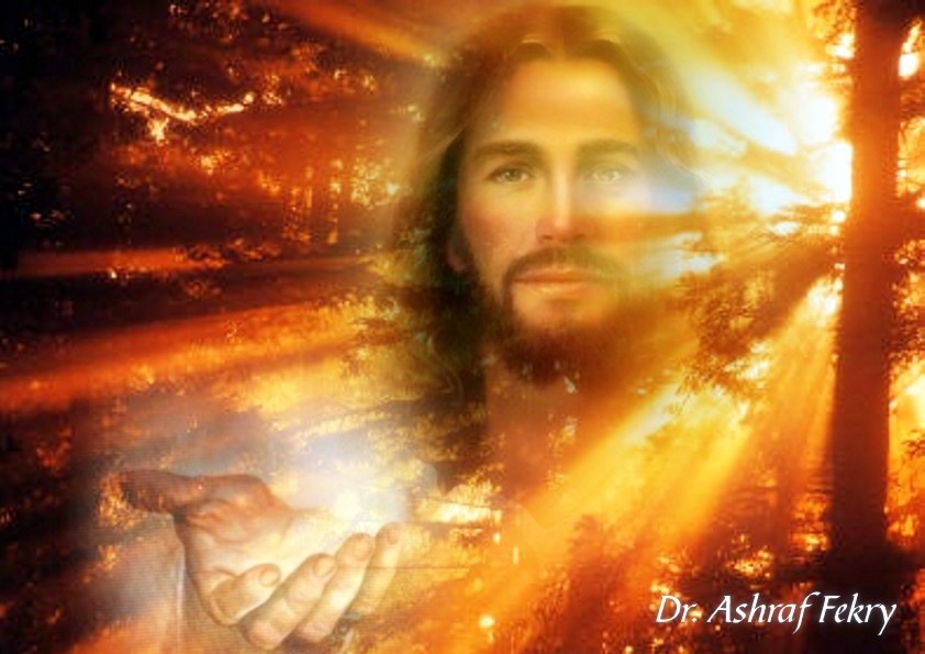 Julie's Bible Journey Follow the Light of Jesus, Part 1