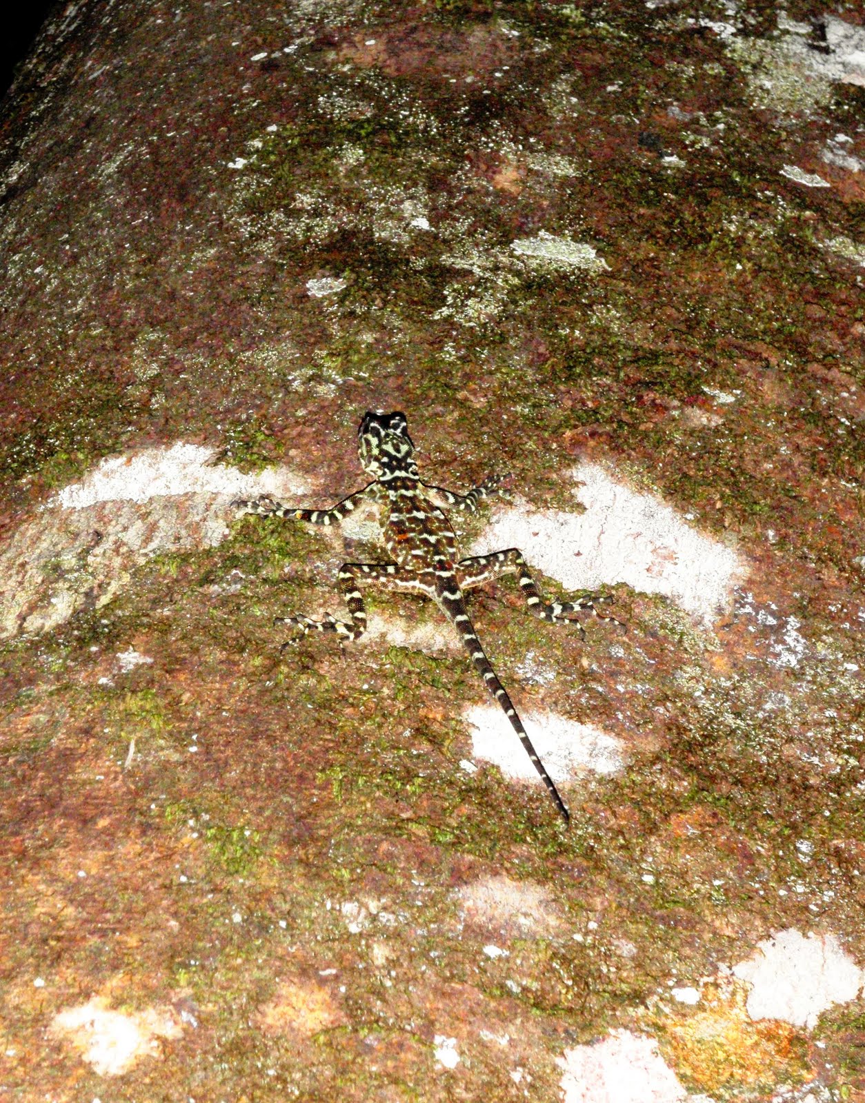 Environmental Education Project: Part 2 of Huaorani Happenings: More ...