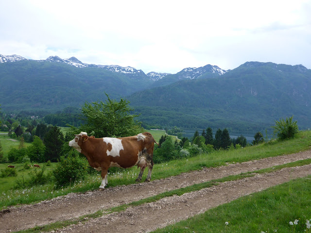 campagne Slovène