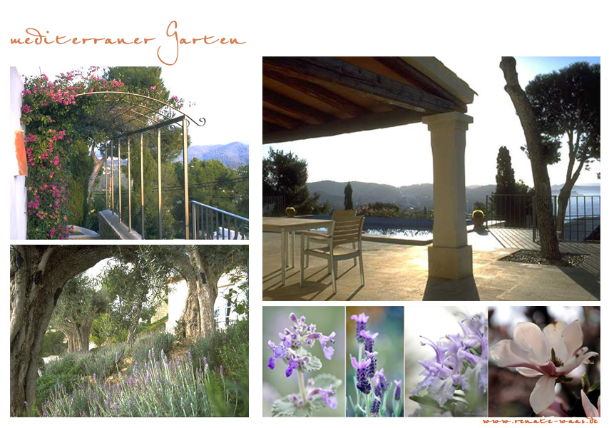 Gartenplanung, gartendesign und gartengestaltung: mediterraner garten