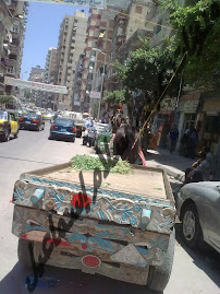 شارع خالد بن الوليد من جهة الترام خلال غياب الأمن والمرور وشرطة المرافق