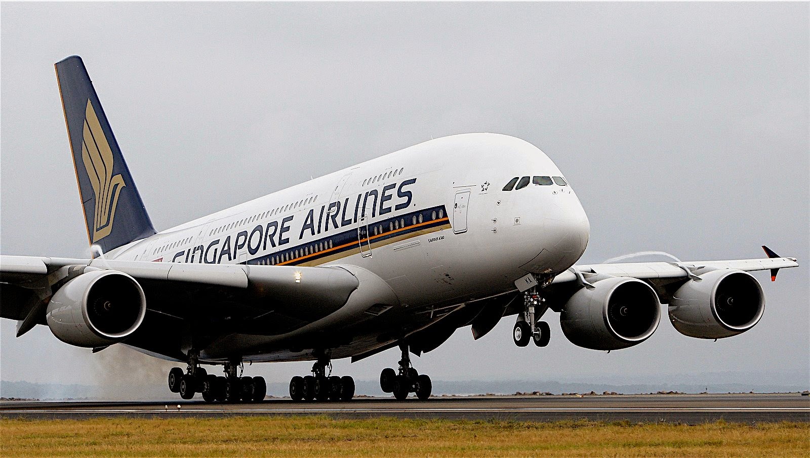 Top Official Info THE WORD S BEST TOP 5 AIRLINES Top official info the word s best top 5 airlines