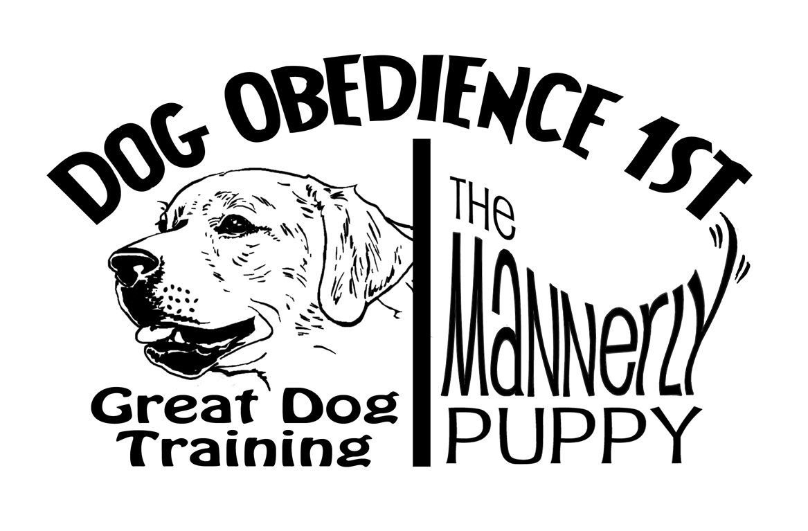 Dog Obedience 1st, LLC