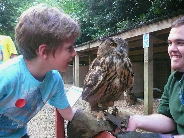 Holding an owl
