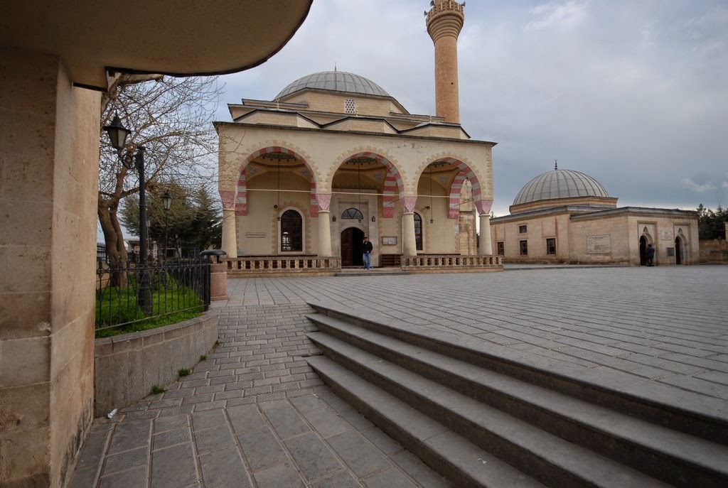 Вейси карани