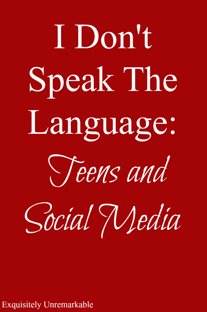 I Don't Speak The Language: Teens And Social Media