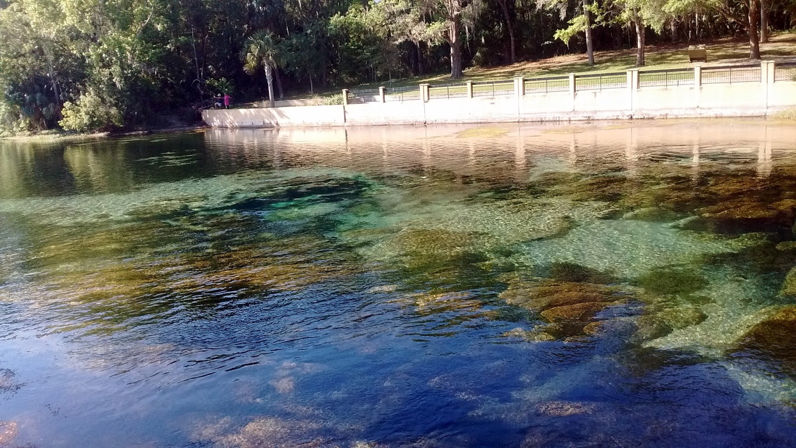 Things I Never Learned From My Mom Exploring Florida Salt Springs