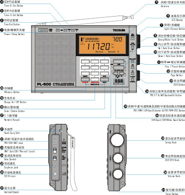 PL-600 Lerntipps