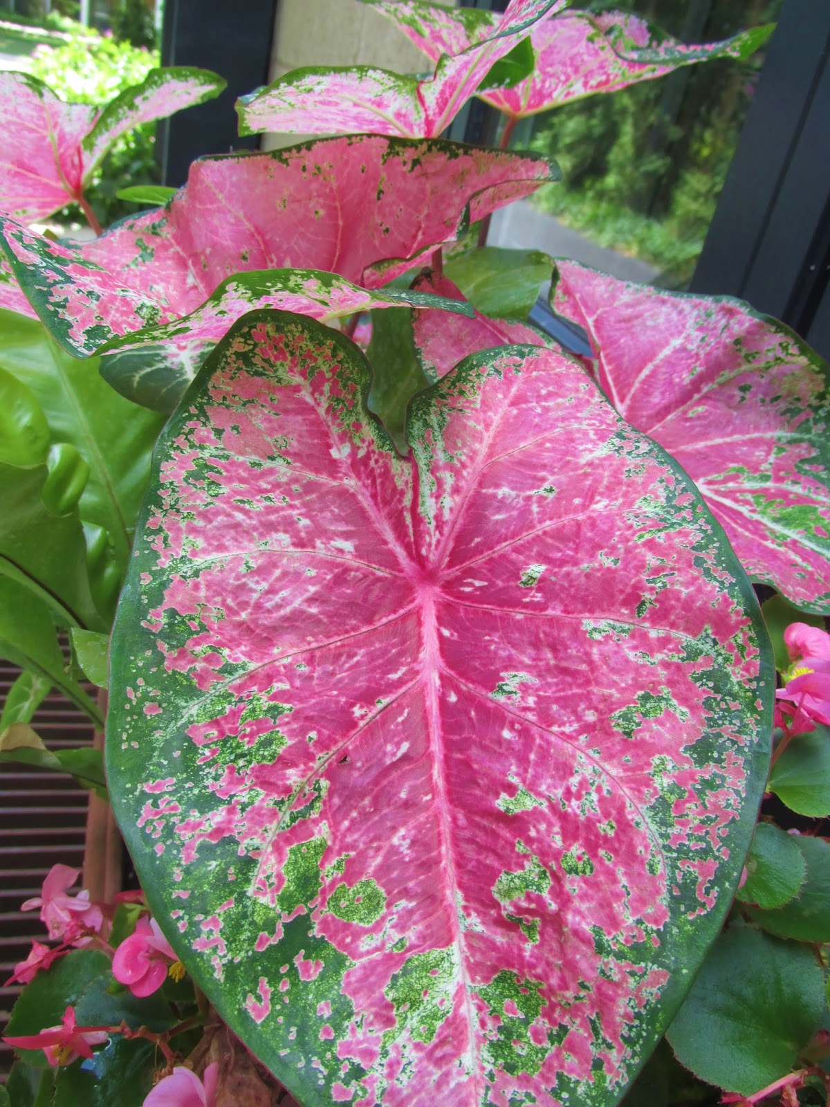 Digging In The Dirt A look back at July