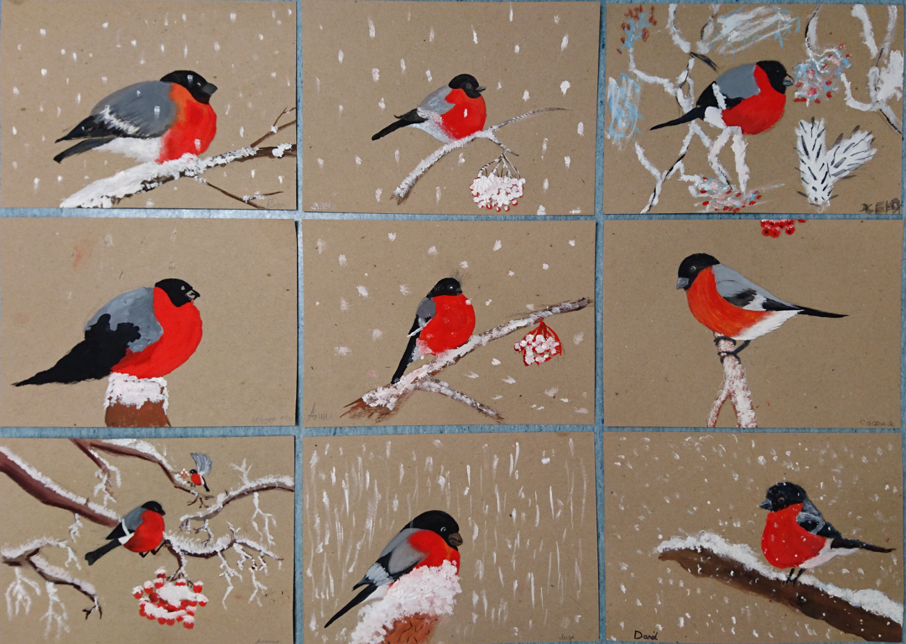 снегирь гуашью. рисование снегирь на ветке. снегирь акварель. снегирь на ветке гуашью. правополушарное рисование для детей снегири.