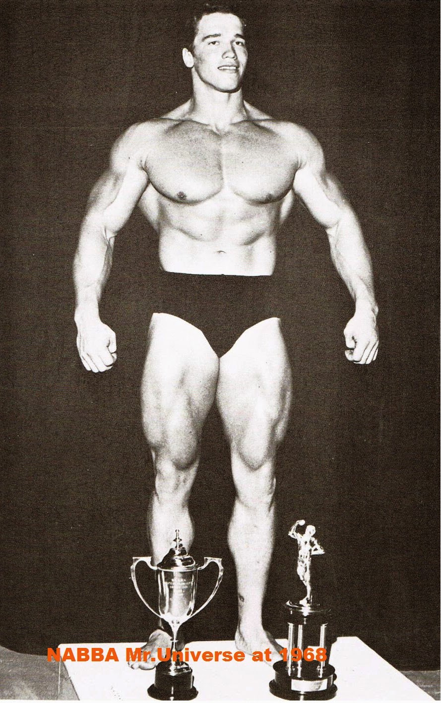 Arnold Schwarzenegger