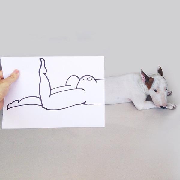 Những bức hình bày trò siêu đáng yêu của chú chó bull terrier cùng cậu chủ