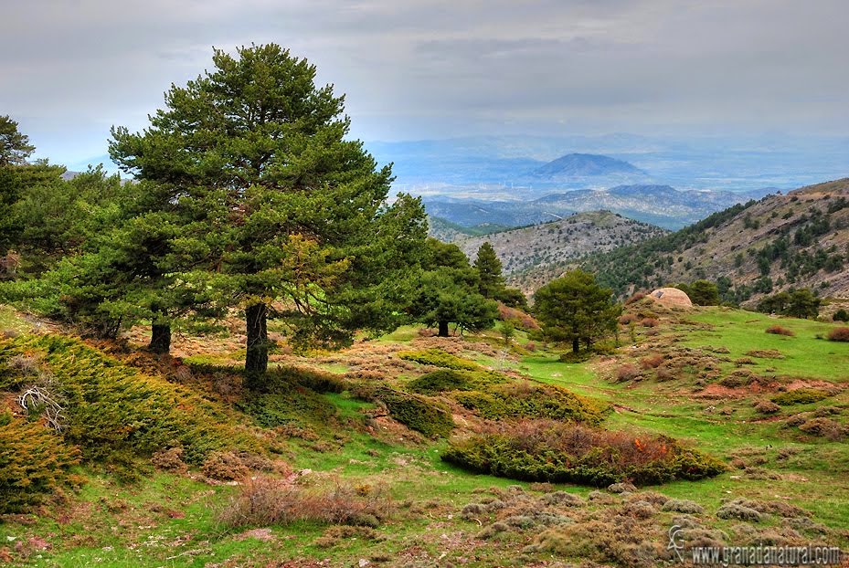 CONOCE LA SIERRA DE BAZA