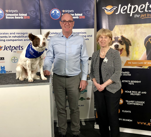 Jet Pets Rescue Awards Companion Animal Rescue rehome adopt