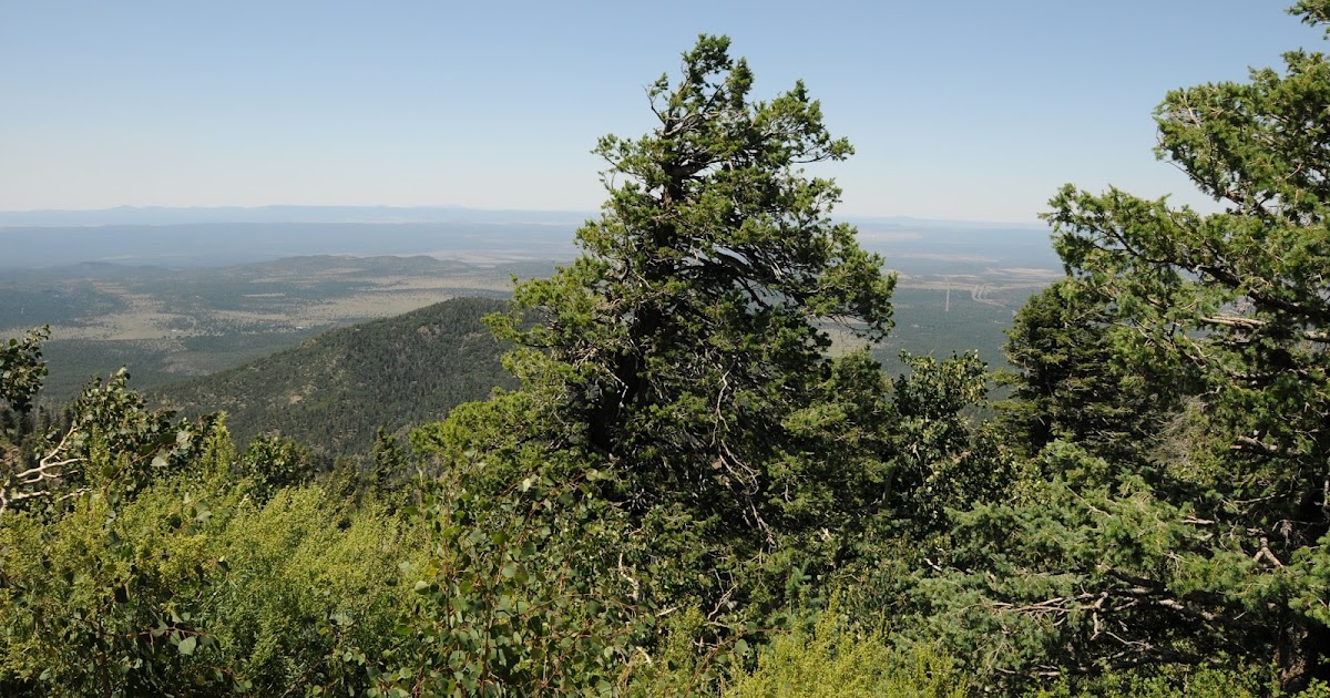 Arizona Hiking: Some Kaibab National Forest trails temporarily closed