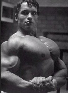 Arnold Schwarzenegger bodybuilding diet Arnold Schwarzenegger bodybuilding diet