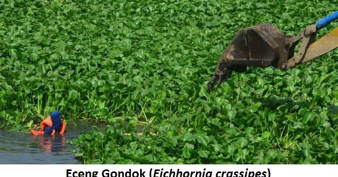 PORTAL GEOGRAFI Kriteria Kawasan Suaka Alam