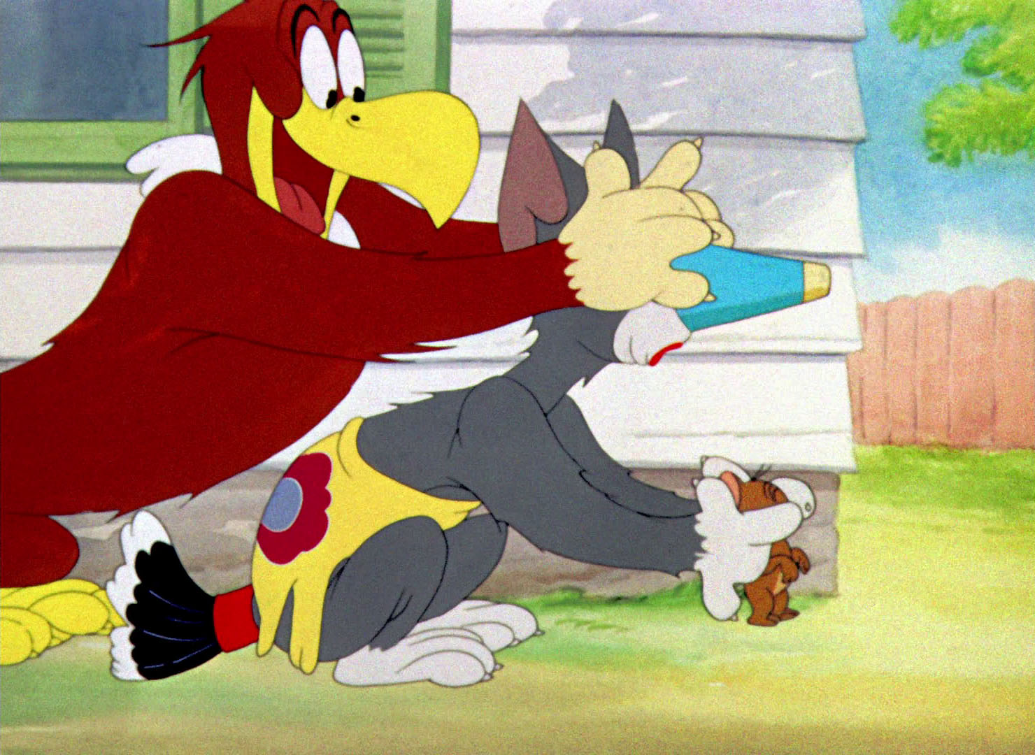 джерри и птичка. том и джерри птички. том и джерри: фильм фильм 1992. птица из тома джерри. птичке хочется любви мультфильм 1945.