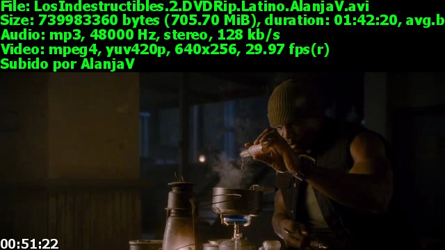 LosIndestructibles.2.DVDRip.Latino.AlanjaV_s.jpg