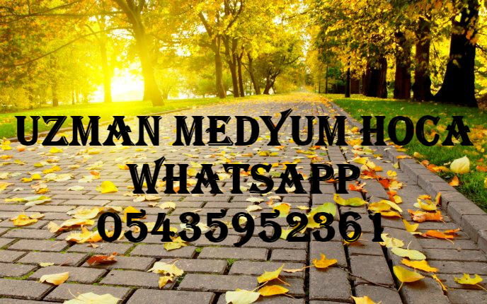 Akide Şekerli Armut Tatlısı ve Chefschool Akide Şekerli Armut Tatlısı ve Chefschool