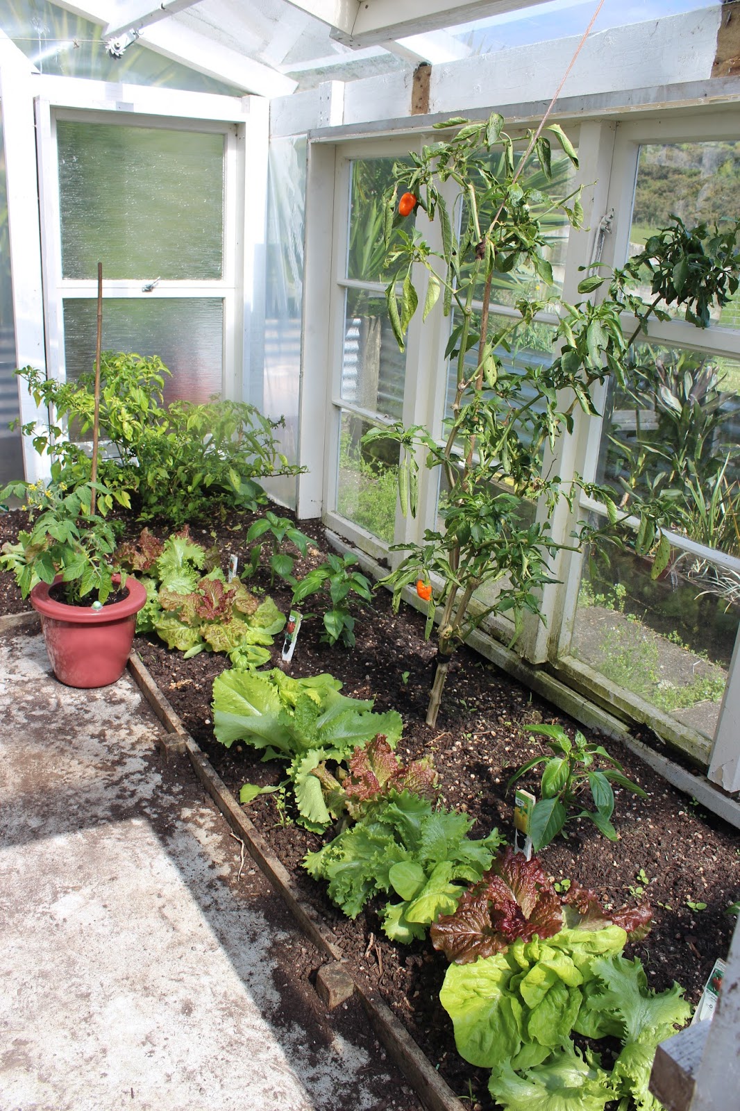 Living the Good Life