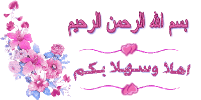 حل مشكله الشاشه البيضاء بعد التفليش الخاطئ لهاتف +HIRO S 15