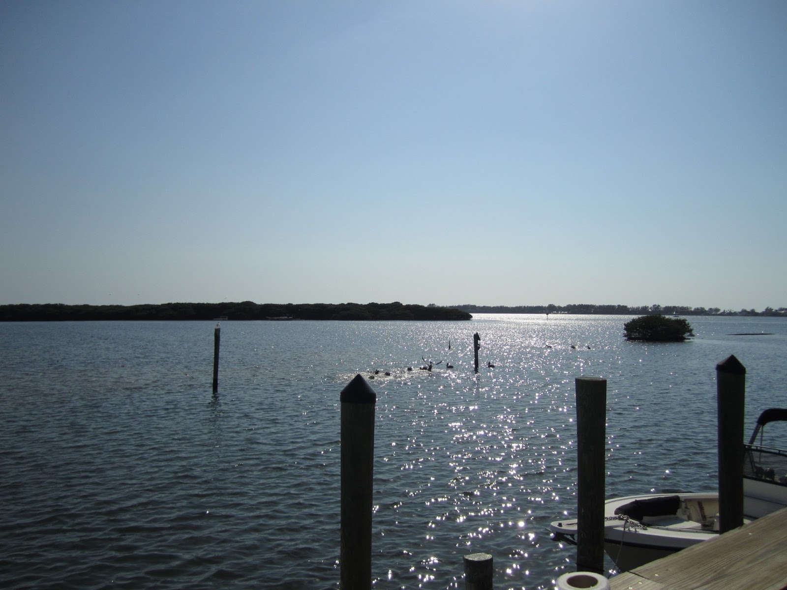 Epicurean Perils of Sweet Polly Swordfish Grill, Cortez, FL