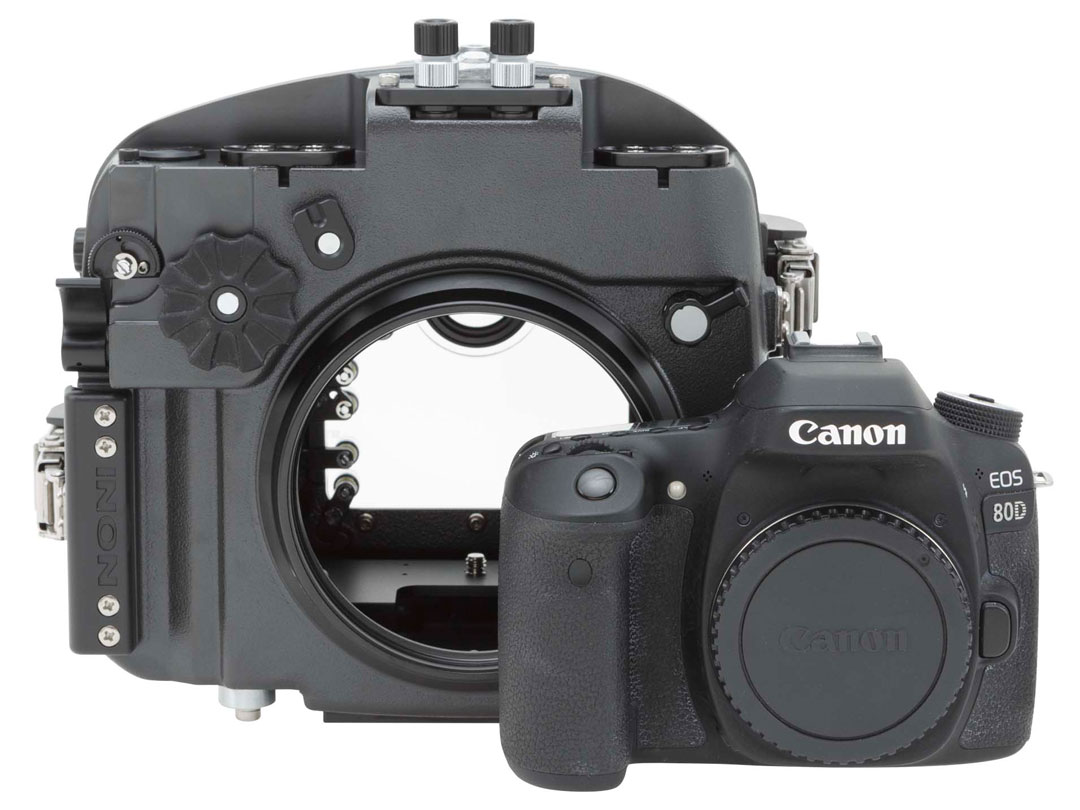 Canon 80d. Canon EOS 80d. Canon 80d затвор. Бокс для фотоаппарата Canon 80d для подводной съемки. Canon 80d пылевлагозащита.