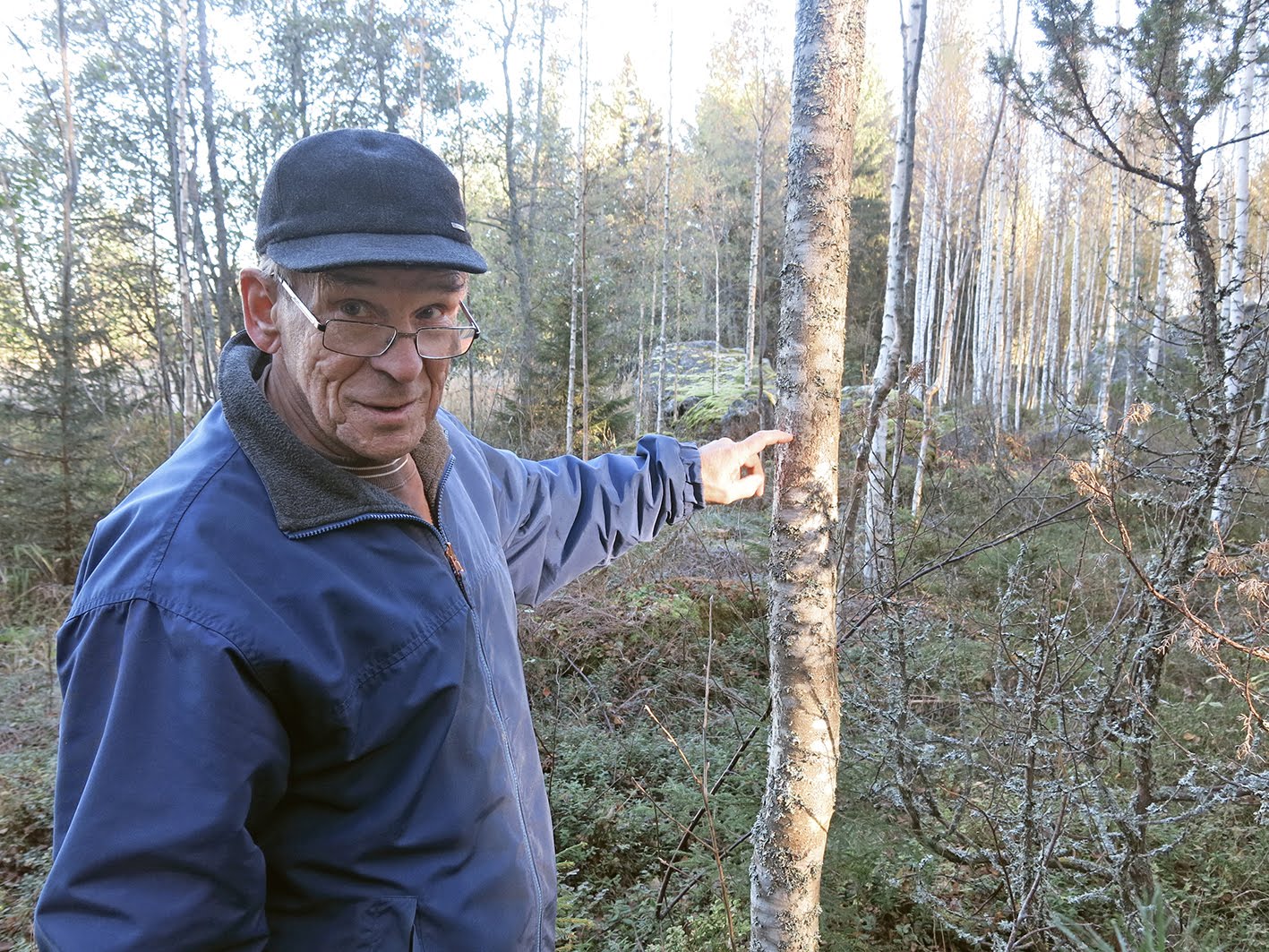 Intervju och studiebesök hos skogsägaren Ralf om Mausurbjörk och skogsbruk
