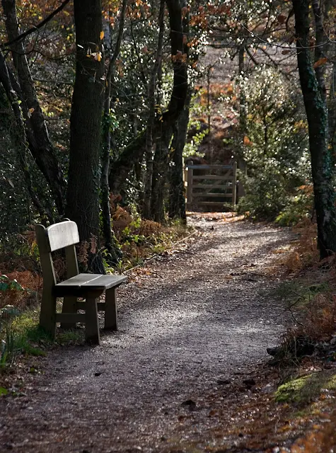 Photo Bystock Pools "Mindfulness Trail" copyright Sheila Hancox (All Rights Reserved)