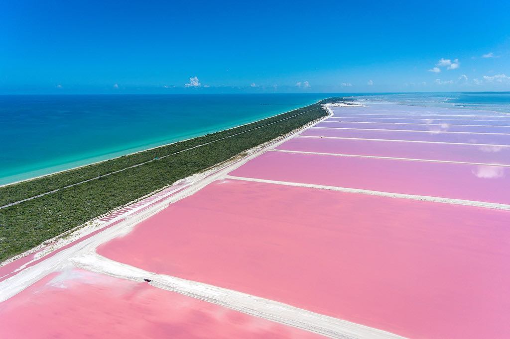Pink Lake | Tasik Pink, Mexico