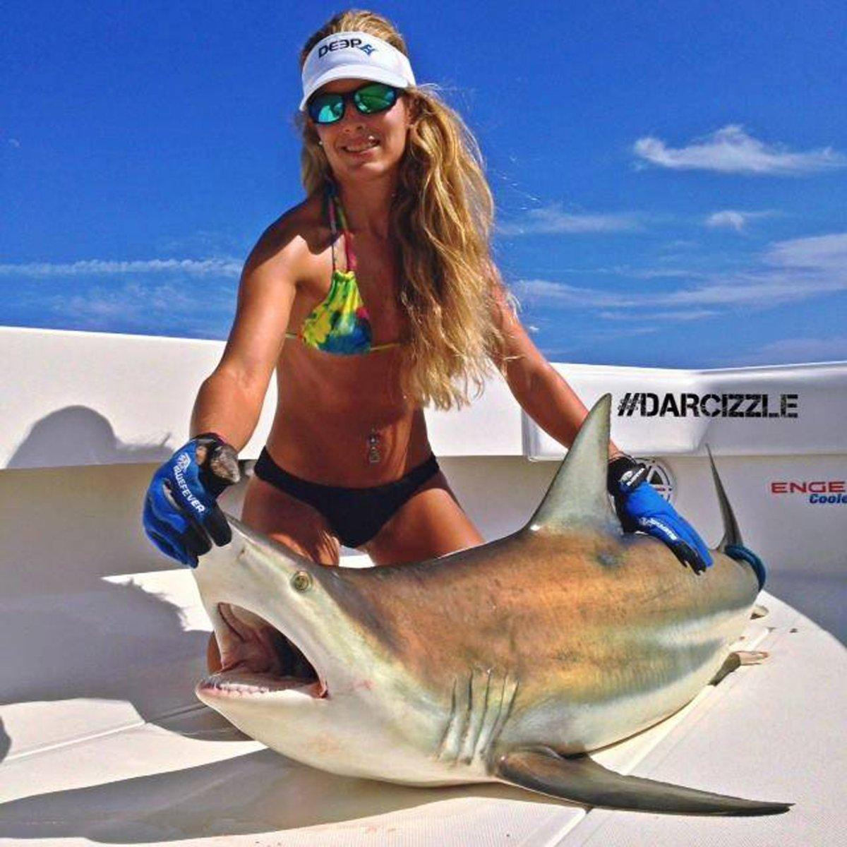 Darcizzle  Offshore and the Left Shark