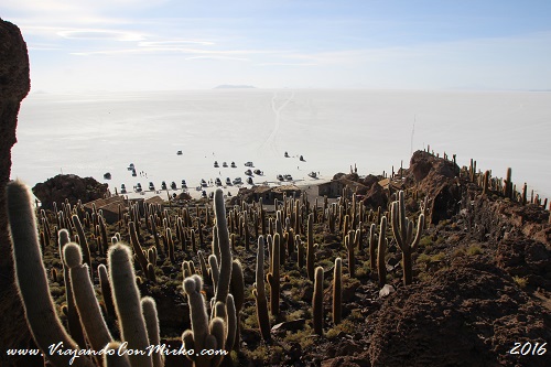 Isla-Incahuasi-Salar-de-Uyuni