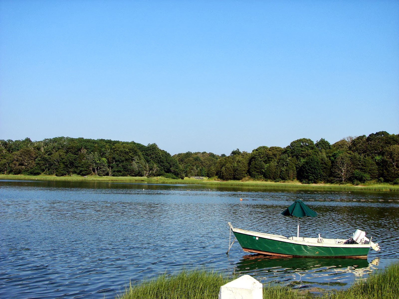 RVing and Travels...Adventures with Suzanne and Brad Canoeing the Salt Marsh, Eastham