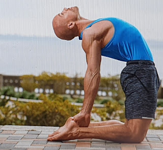 Yoga Deve Pozu Nasıl Yapılır? Faydaları Nelerdir? Mayıs 2019