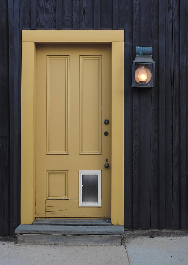 Advantages of Having a Dog Door Installed In Your Home