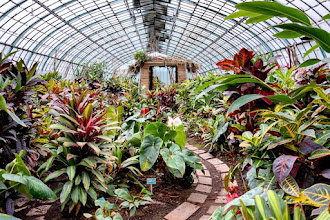 Paris : Serres d'Auteuil, beauté des collections botaniques, un jardin du XIXème siècle dans la tourmente - XVIème