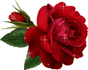 Happy Rose Day GIF Image