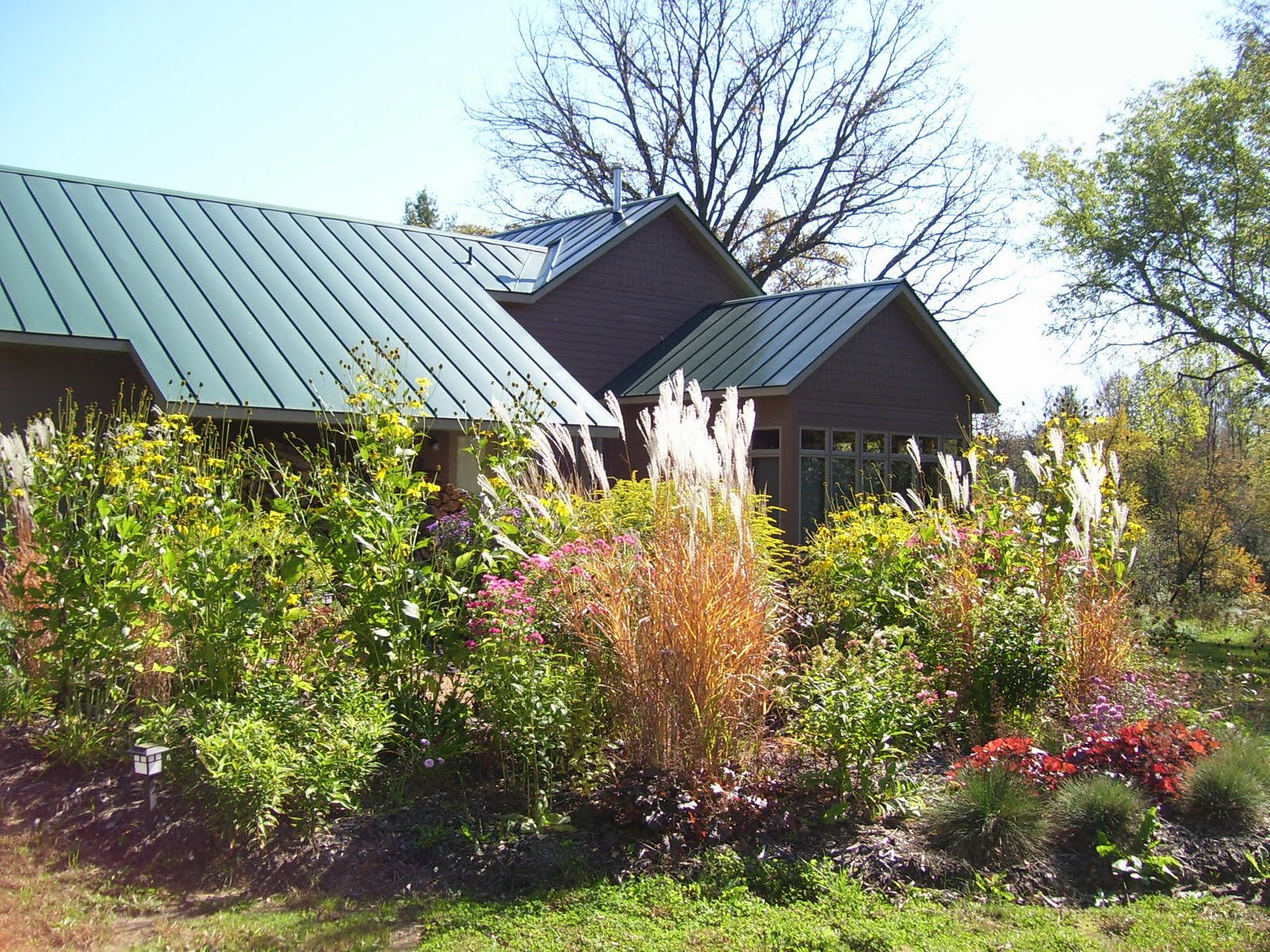 Talking to Plants: Disguising a Drain Field