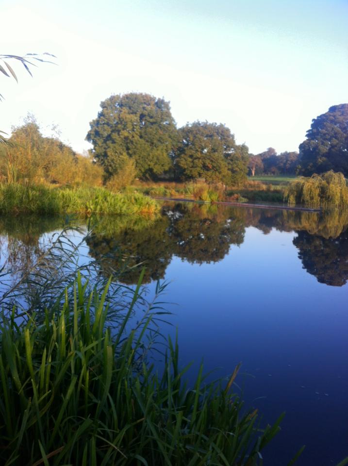 UK fishing venues Swillington Park (Lake 1) Venue Review