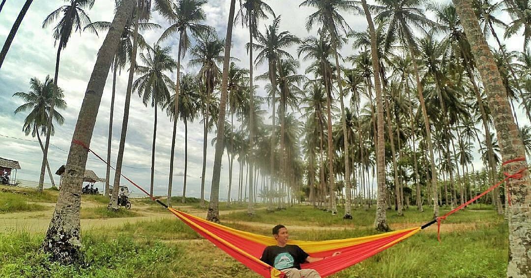 Daftar Harga Hammock Semua Merek Terbaru Pasaran Harga