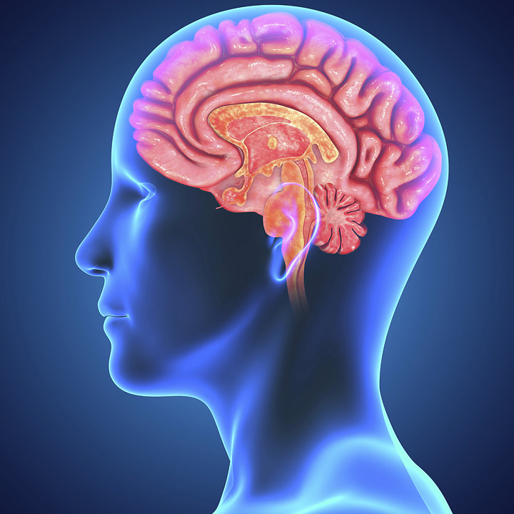 donde venden brain plus iq en peru