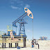Cabinet approves filling of Padur Strategic Petroleum Reserves