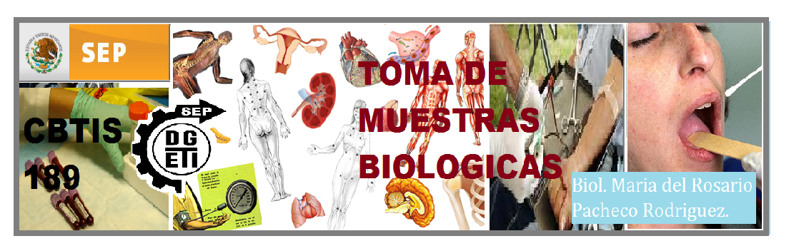 SUBMODULO :TOMA DE MUESTRAS BIOLOGICAS