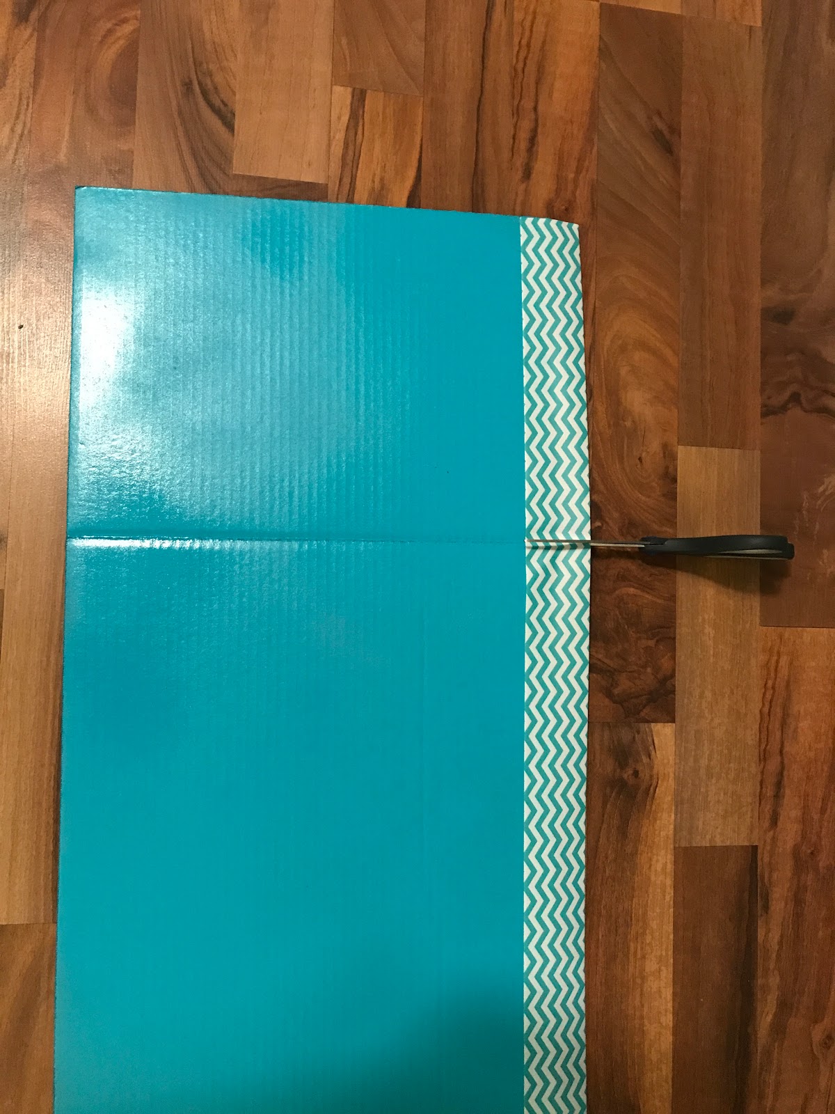 misscalcul8 Dollar Tree Privacy Folders