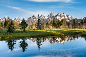 Nature Nature