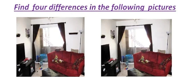 Difference Challenge: Photo puzzles to Spot the differences