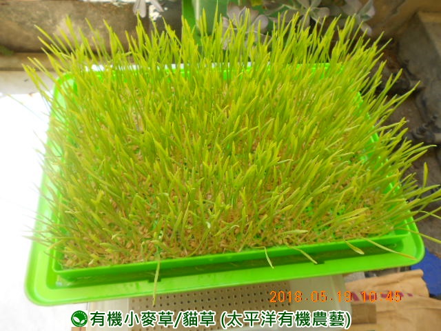 �p��,�߯�ش�,�߯�شӤ�k,�߯�,�߯�O����,�߯�diy,�߯�p����,�߯����,�^�K���@�k,�ؿ߯�