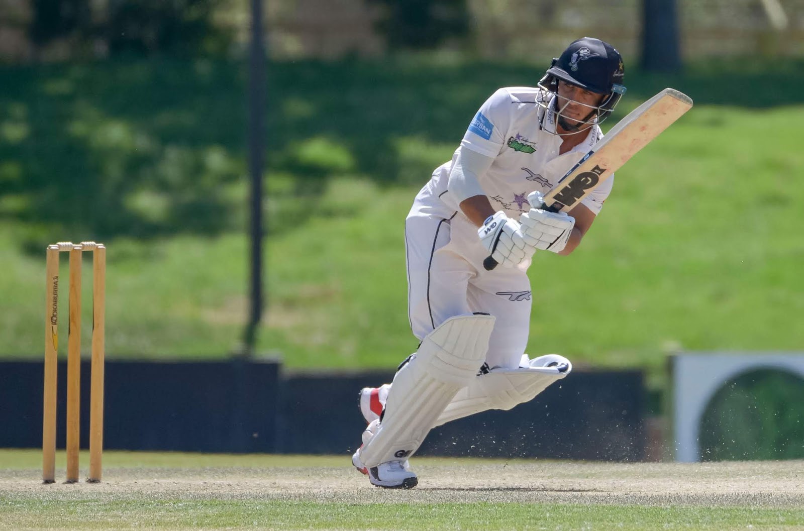Marques Ackerman Marques Ackerman batting for the Hollywoodbets Dolphins in the CSA 4-Day Franchise Series