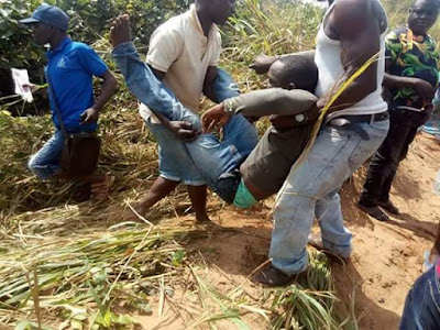 Photos: Police officers allegedly abandon unconscious truck driver after he crashed into bush along Ibusa Road, Delta State